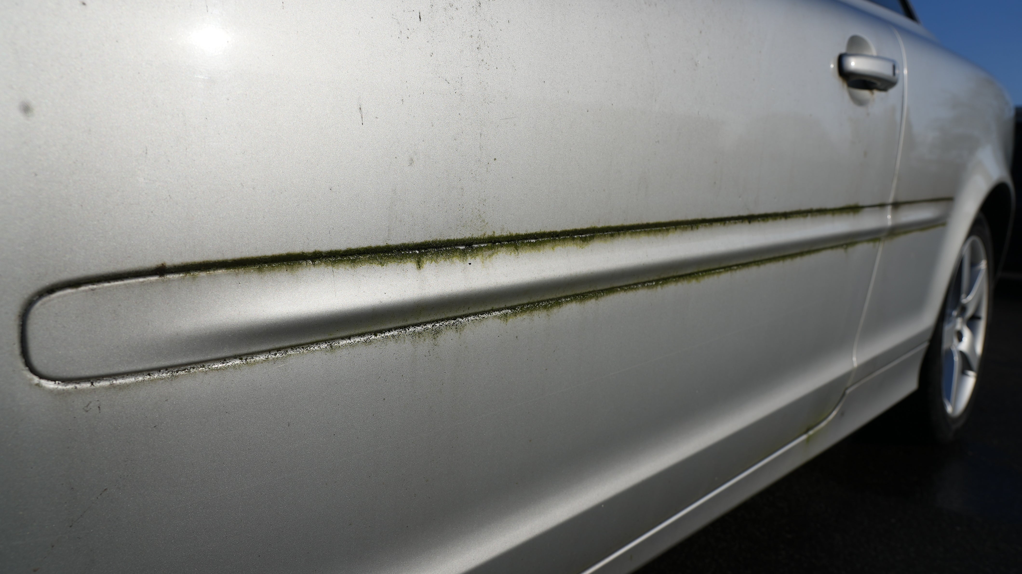 Close-up of a dirty silver car door showing stubborn green algae and grime buildup along the side moulding and lower bodywork, highlighting exterior contamination before detailing.