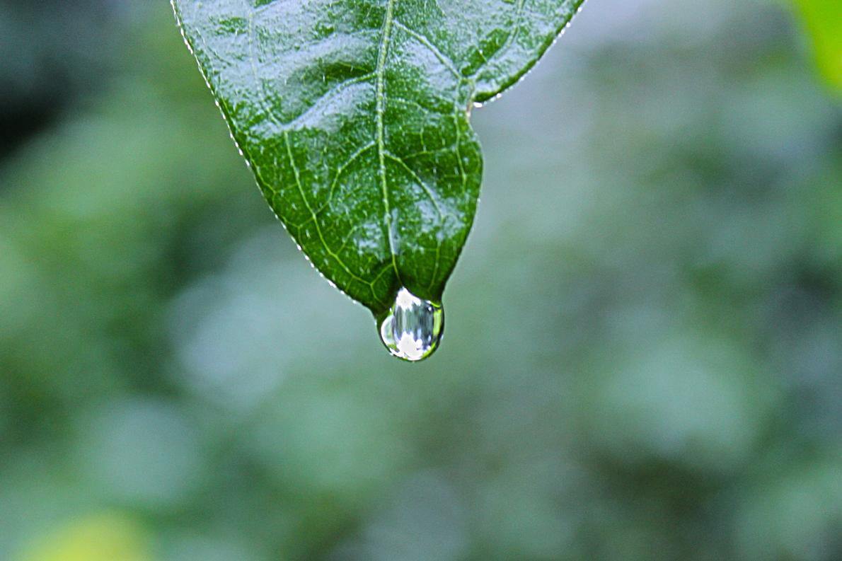 Eco Awareness, its in our DNA